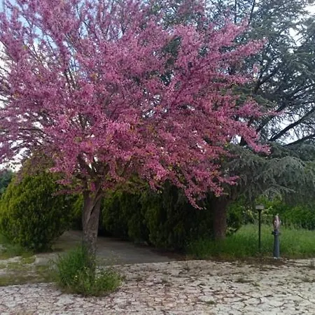 Maria Holiday home Foggia